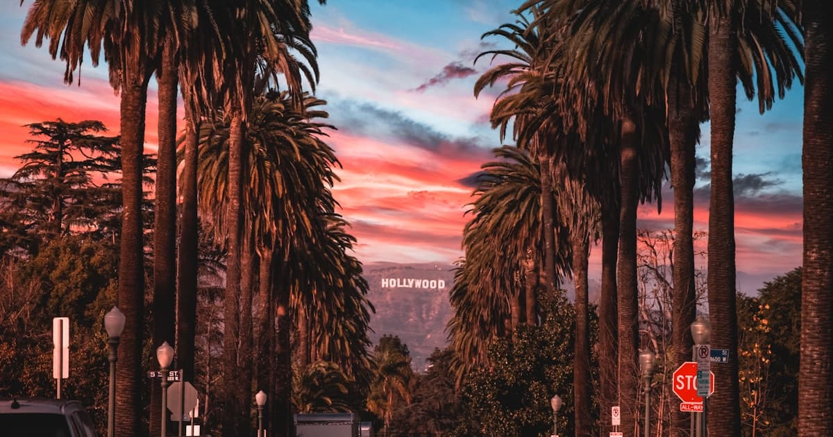 Los Angeles palm tree lined street with Hollywood sign at sunset