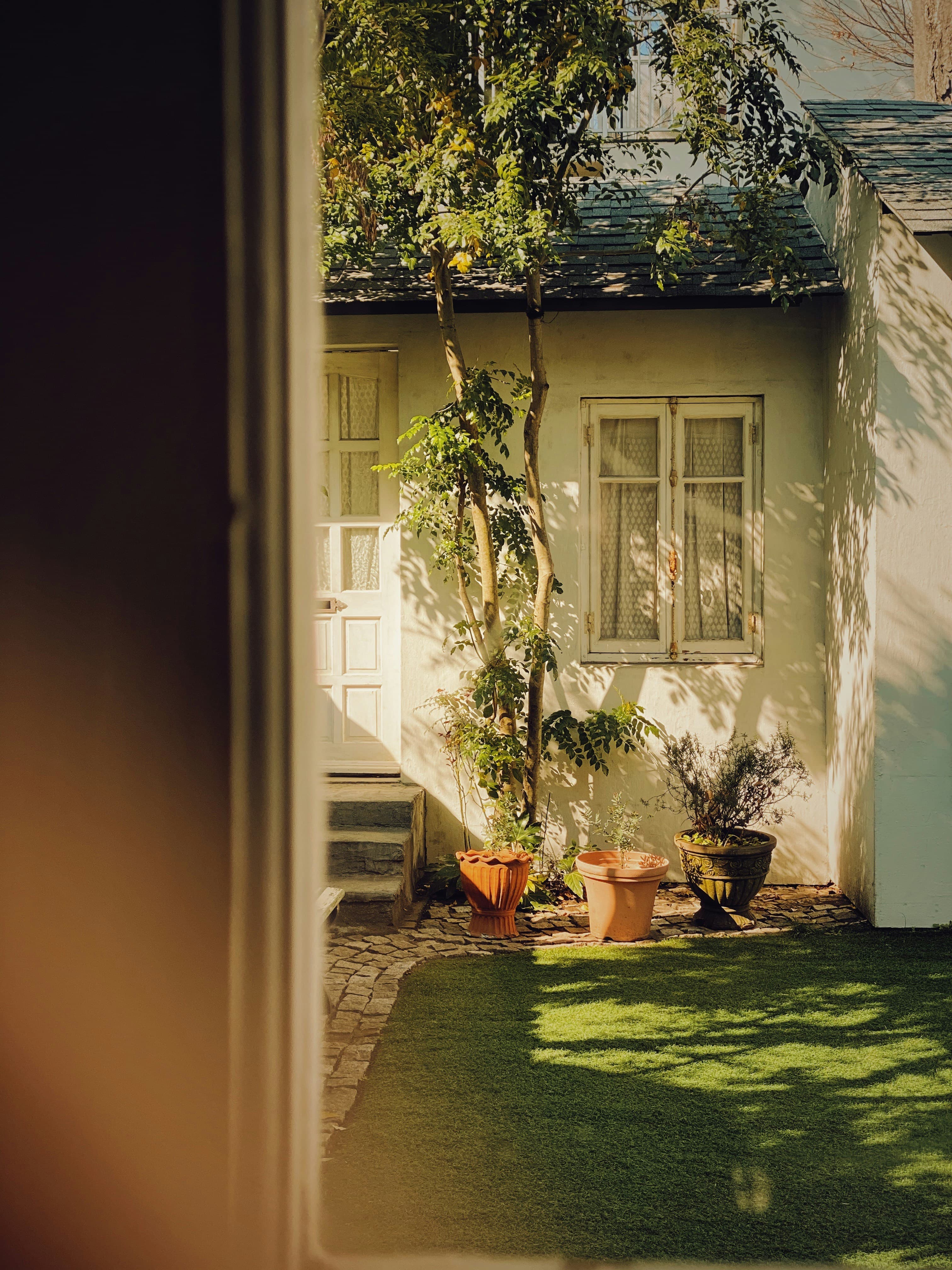 Detached accessory dwelling unit (ADU) in a Los Angeles backyard, illustrating SB 1211 ADU density California